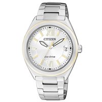 Watch Citizen Woman Eco Drive in Steel FE6004-52A - FE6004-52A